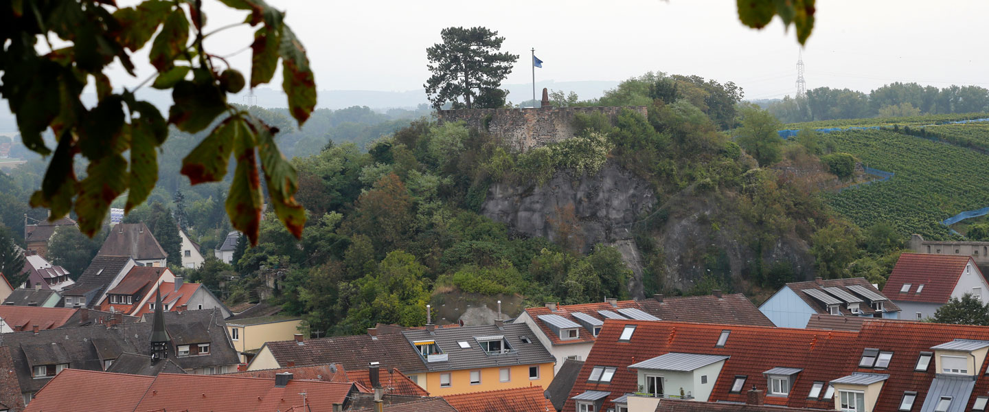 Blick auf die Dächer der Stadt Breisach und die Ruine Eckartsberg